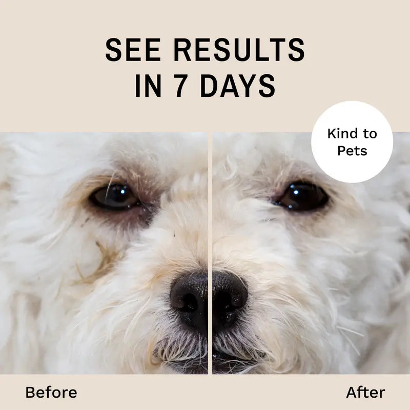 Dog Tear Stain Remover Starter Kit with Brush