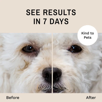 Dog Tear Stain Remover Starter Kit with Brush