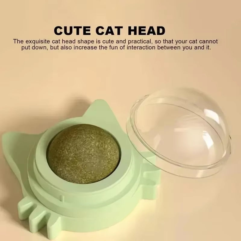 Wall-Mounted Rotating Catnip Ball for Cats