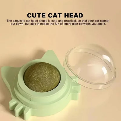Wall-Mounted Rotating Catnip Ball for Cats