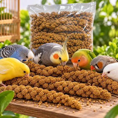 Spray Millet 1 Lb Birdfood
