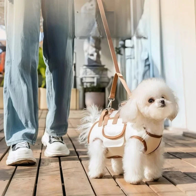 Hands-Free Pet Carrier Sling for Small Dogs & Cats