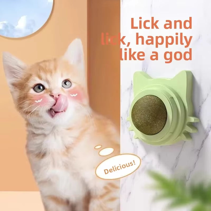 Wall-Mounted Rotating Catnip Ball for Cats