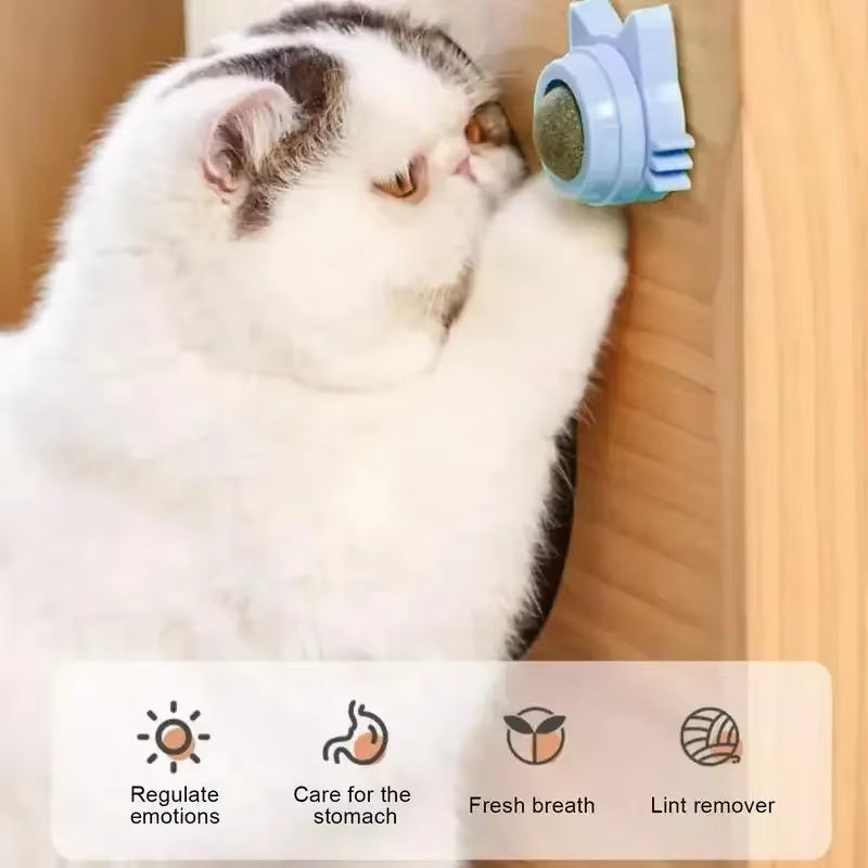 Wall-Mounted Rotating Catnip Ball for Cats